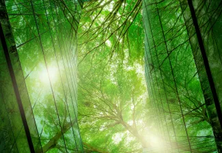 Forest reflecting against buildings
